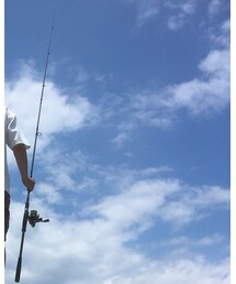 DAIWA | その他雑貨