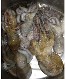 明石ダコ | 採寸ボディースーツ