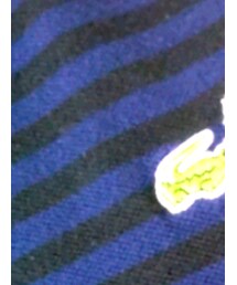LACOSTE | ポロシャツ