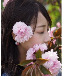 Handmade | ドライフラワーの半球のマグネットピアス(イヤリング)