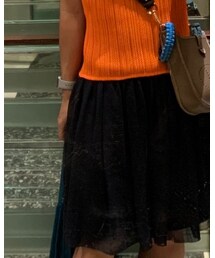 LANVIN en Bleu | スカート