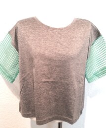 袖チェックシースルーカットソー(Tシャツ/カットソー)