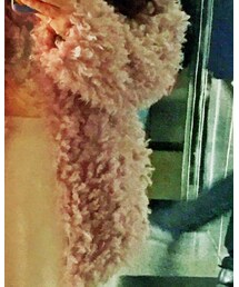 韩国代购 | ダウンジャケット/コート