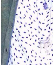 cotton on | その他トップス