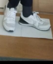 green label relaxing | NIKE  Internationalist(スニーカー)