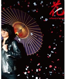 a flood of circle | 花  かっこいい曲(音楽/本・雑誌)