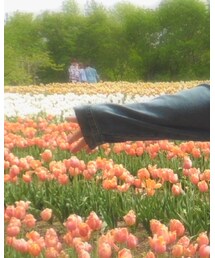 WEGO | デニムジャケット