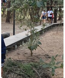 Carhartt | その他トップス