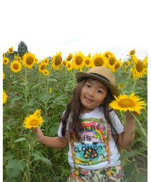 ひまわり畑🌻 | その他