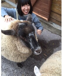 羊時々わたし。 | その他