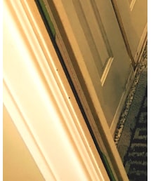 Y-3 | スニーカー