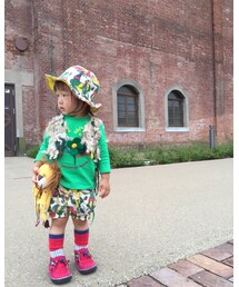 ライオンと同じ顔2 | その他