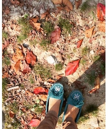 Minnetonka | シューズ