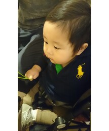 髪切らねば、、 | その他