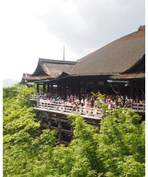 清水の舞台 | その他