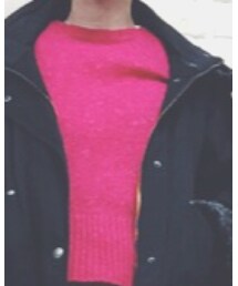 THE SHINZONE | ニット/セーター