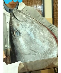 本マグロのお頭 | その他