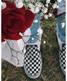 VANS | スニーカー