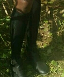 JCPenney | ブーティ