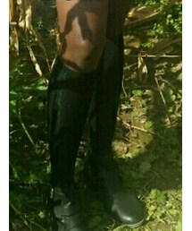 STEVE MADDEN | ソックス/靴下