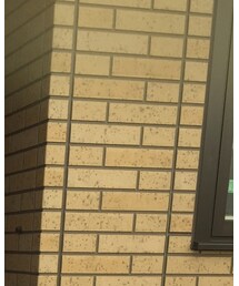 Ray-Ban | サングラス