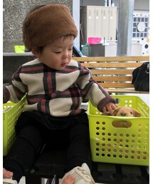 モルモットなでなで♡ | その他