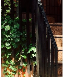 Saturdays NYC | Tシャツ/カットソー