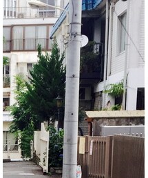 no brand | Tシャツ/カットソー
