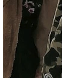 RASVOA | スカート