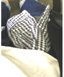 LOWRYS FARM | シャツ/ブラウス