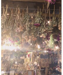 sheltercafe | その他