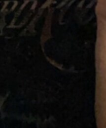 SPINNS | Tシャツ/カットソー