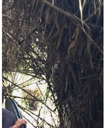 Captains Helm | ニット/セーター