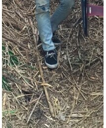 Scye | スニーカー