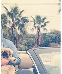 PRADA | サングラス