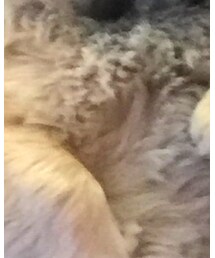 no brand | フィギュア