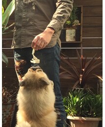 セルフリメイク | デニムパンツ