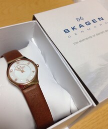 SKAGEN | 【SKAGEN】腕時計(アナログ腕時計)