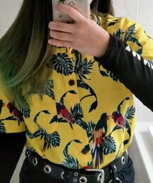 Lowes | シャツ/ブラウス