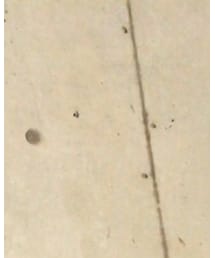 Roots Canada | キャップ