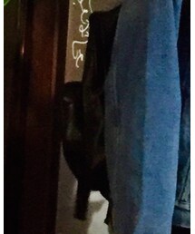 alexanderwang | バックパック/リュック