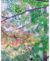 京都 | その他