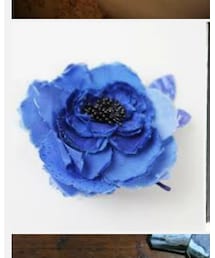 GASA* | ブローチ/コサージュ