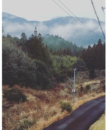 煙る山 | その他