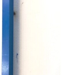 import | ショルダーバッグ