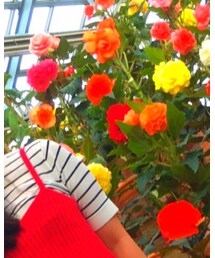 jouetie | ニット/セーター