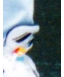 PRO-Keds | スニーカー