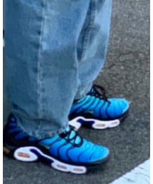 NIKE | nike airmaxplus(スニーカー)