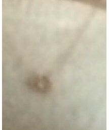 no brand | ネックレス