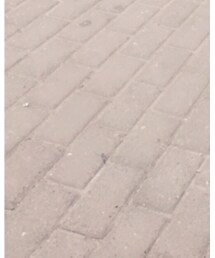 LOWRYS FARM | Tシャツ/カットソー